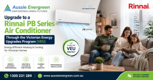 Rinnai PB Series