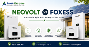 NEOVOLT vs FoxESS